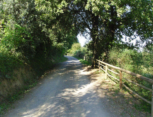 Path 1 – Ring Gambassi Terme